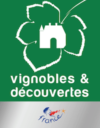 Vignoble et découvertes